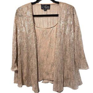 Alex Evenings Twinset Champagne Metallic Knit Size SP
